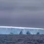 Un pedazo de hielo del tama�o de Bariloche se desprendi� de la Ant�rtida