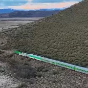 De Bariloche a Viedma: el Tren Patag�nico regresa este diciembre