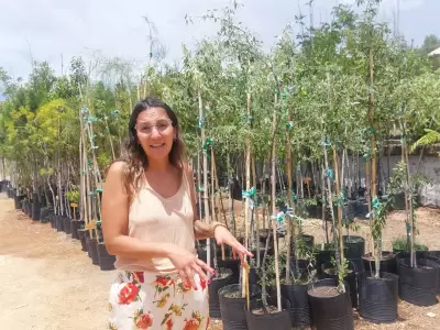 Polo Ambiental Godoy Cruz