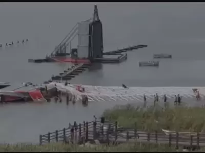 El �rbol ten�a m�s de 55 metros y buscaba engalanar una playa carioca.
