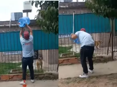 El sodero viral de TikTok.