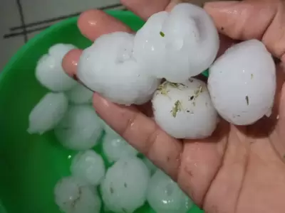 Tama�o de las piedras m�s grandes que cayeron producto de la intensa tormenta que afect� principalmente a San Mart�n y Jun�n, en Mendoza.