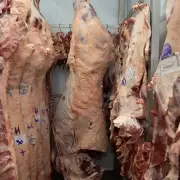 Carne para todos: comprar media res puede reducir el costo en 80%