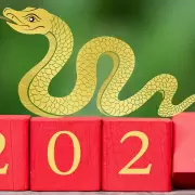 Predicciones 2025: qu� trae la Serpiente de Madera Yin para cada signo
