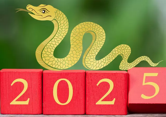 Serpiente china.