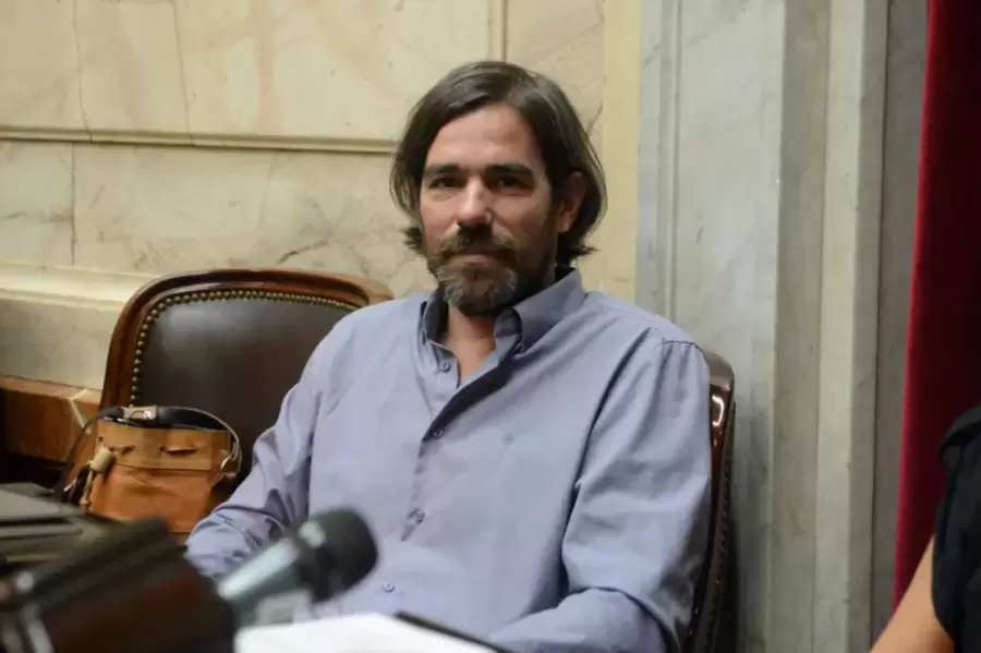 Diputado Nicol�s del Ca�o