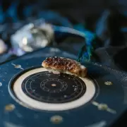 Los signos del zodiaco y lo que les depara el inicio de 2025