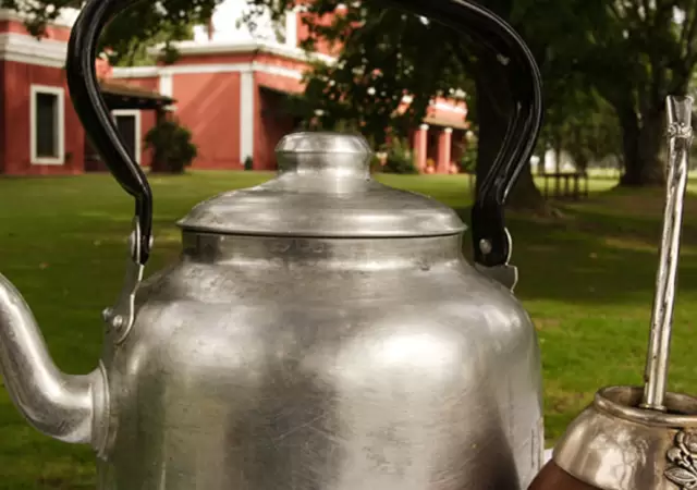 C�mo limpiar el sarro de tu pava con m�todos caseros eficaces