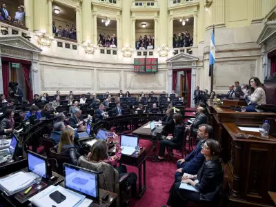 Para muchos el Senado de la Naci�n es responsable de las indefiniciones en varios aspectos clave que se trataron en 2024.
