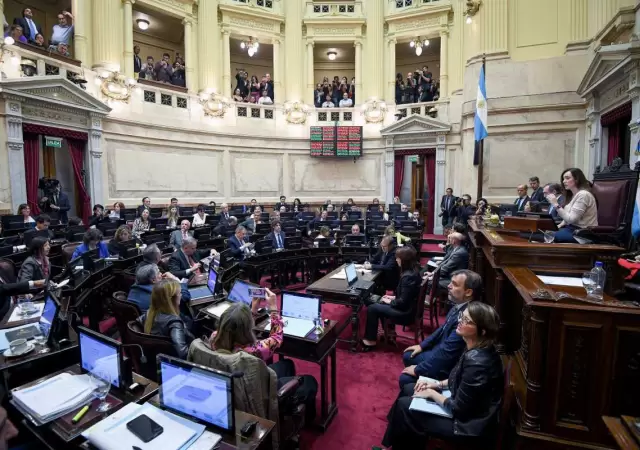 Para muchos el Senado de la Naci�n es responsable de las indefiniciones en varios aspectos clave que se trataron en 2024.