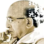 Un alimento argentino es el m�s aconsejado para la memoria y el cerebro