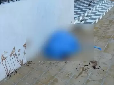 San Juan/ Diario de Cuyo