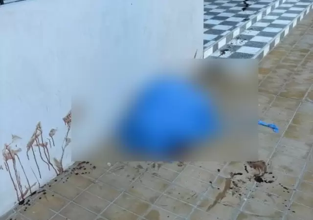 San Juan/ Diario de Cuyo