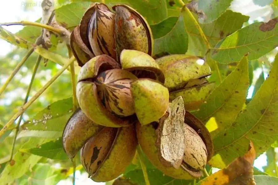 Foto: archivo web