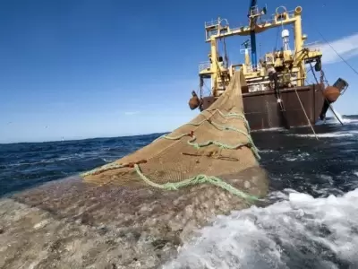 La pesca ilegal que amenaza la Zona Econ�mica Exclusiva se ha tornado un problema de seguridad nacional.