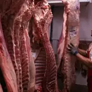 China anunci� una investigaci�n y caus� el p�nico en Argentina y Brasil