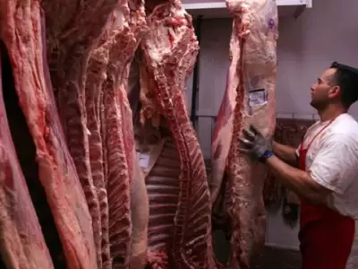 La investigaci�n genera cuestionamientos por ser un mercado estrat�gico de carnes de exportaci�n.