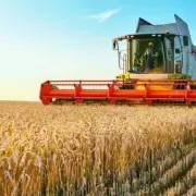 Califican de manejos err�neos la causa del default de grandes empresas cerealeras