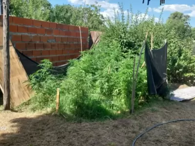 El Juzgado Federal de Santa Rosa tom� inversi�n en el caso.