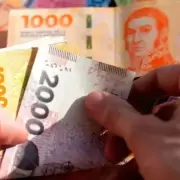 Aumento ANSES | Uno por uno, todos los montos para enero 2025