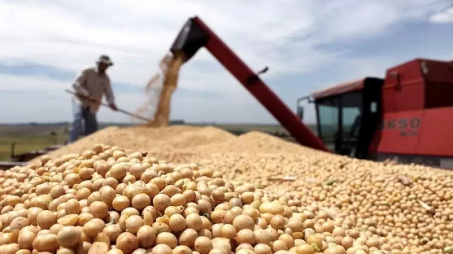 El principal producto de exportación del país es la harina de soja. (Foto: web)