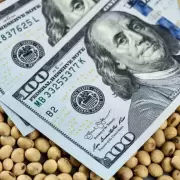El agro ingres� m�s de US$ 25.000 millones por exportaciones en 2024