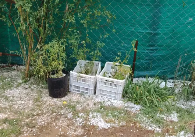 Una intensa granizada sacudi� Maip�, Jun�n y Luj�n de Cuyo