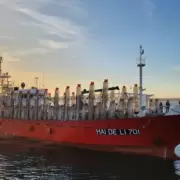 Partió la primera oleada de buques poteros en busca del codiciado Illex argentinus