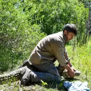 Trasladaron al yacar� overo del Ecoparque de Mendoza