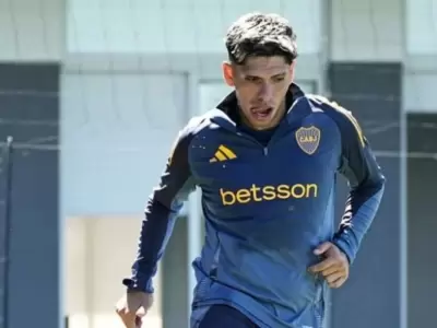 Palacios es hasta el momento el �nico refuerzo de Boca.