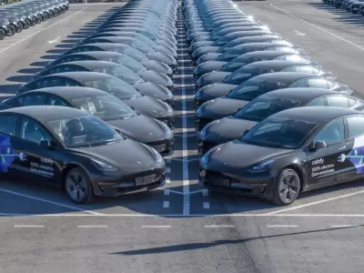 Las ventas de Tesla cayeron tras casi una d�cada.