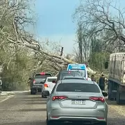 Alerta por tormentas y ráfagas superiores a 120 km/h en cuatro provincias