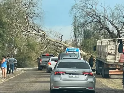 La alerta por tormentas y r�fagas de viento fuerte advierte a los ciudadanos ante posibles ca�das de �rboles.