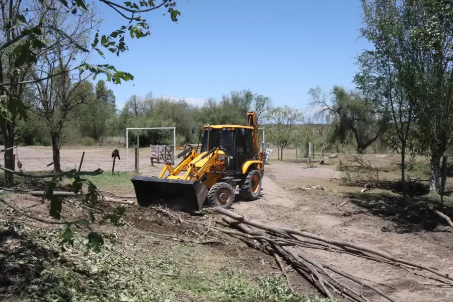 Tractor.