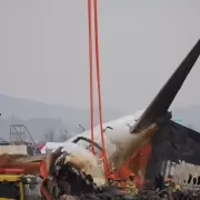 Aviación: cuál es el motivo por el que algunas personas sobreviven y otras no