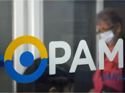 Atenci�n: PAMI y ANDIS inician auditor�a masiva