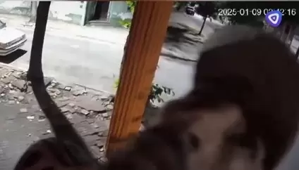 El rostro en primer�simo primer plano de uno de los ladrones mimosos.
