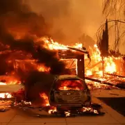 Los �ngeles: 16 muertes y miles de hect�reas devastadas por incendios forestales