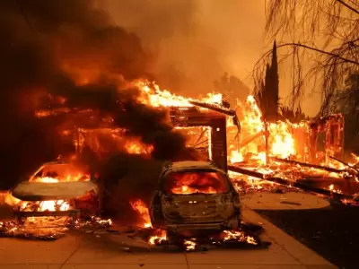 Los �ngeles: 16 muertes y miles de hect�reas devastadas por incendios forestales