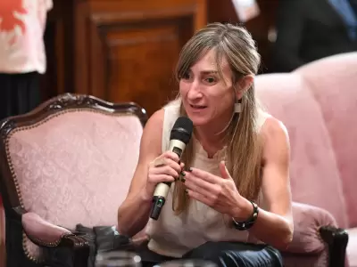 Mercedes Llano, diputada nacional, quiere suprimir las PASO.