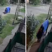 Al hombro y corriendo, dos delincuentes se robaron una pileta de local