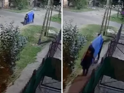 Robo de una pileta de lona en Quilmes.