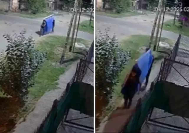 Robo de una pileta de lona en Quilmes.