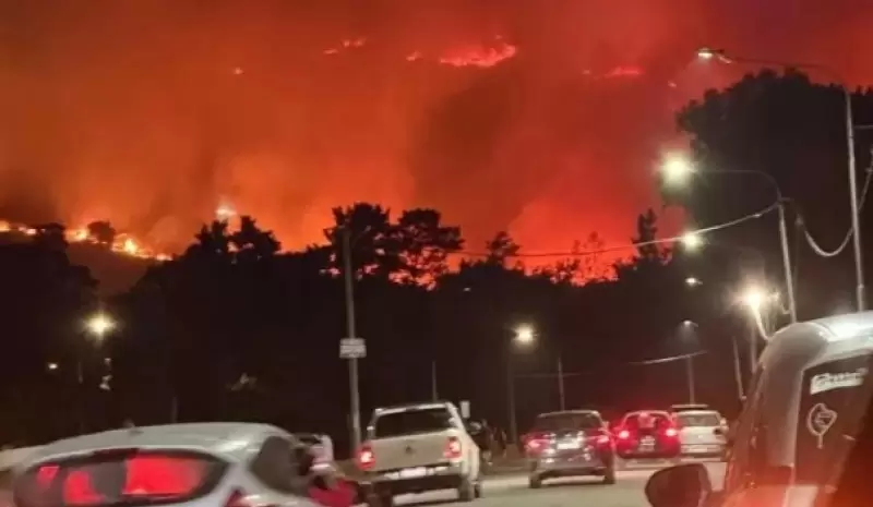 Las llamas avanzan r�pidamente entre el Paseo del Bicentenario y Villa del Lago.