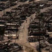 El gobernador de California acus� a Musk de promover los saqueos de casas incendiadas