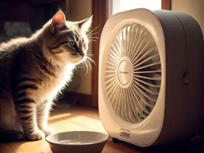 No s�lo hay que mantener las mascotas hidratadas, sino tambi�n acondicionarles el ambiente.