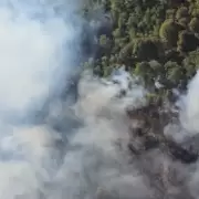 Fuego fuera de control en Bariloche: ya se consumieron m�s 4.400 hect�reas de bosque