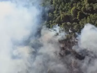El incendio en Bariloche est� fuera de control.