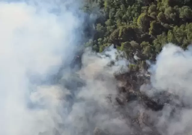 El incendio en Bariloche est� fuera de control.