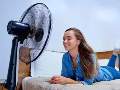 El ventilador ha sido considerado como una de las mejores alternativas tanto para combatir el calor y el excesivo consumo de energ�a.